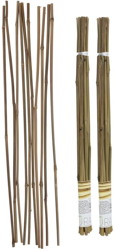 Gerimport Plantenstokken - 20x stuks - bamboe - 60 cm - plantensteun / tonkinstokken