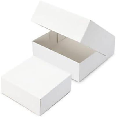 Kartonnen Taartdozen - Bakdozen - Taarten Vervoeren - Voedselveilig Materiaal - 29 x 29 x 8 cm - Wit