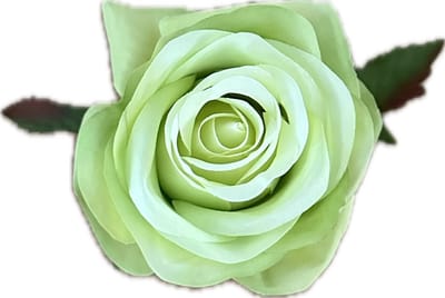 AMALIA LICHT GROEN KUNSTROZEN - Rozenkoppen 12 stuks - Mooie Kwaliteit Kunstbloemen - Nepbloemen - Rozen zonder Steltjes - Kunstbloemen voor Decoraties/ Versieringen - DIY Bloemen - Rozen voor de Bloemenmuur
