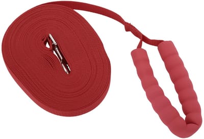 Dailygoods- Trainingslijn 15 m - Hondenriem - Schuimrubberen Handgreep - Duurzaam - Veiligheidsvergrendeling - Geschikt voor Alle Hondenmaten