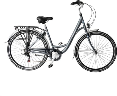 Wheelerz damesfiets 6 versnellingen matgrijs