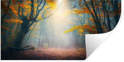 Muurstickers - Sticker Folie - Bos - Mist - Herfst - 40x20 cm - Plakfolie - Muurstickers Kinderkamer - Zelfklevend Behang - Zelfklevend behangpapier - Stickerfolie