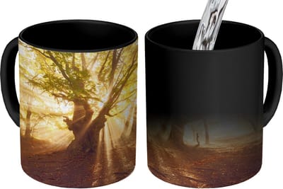 Magische Mok - Foto op Warmte Mokken - Koffiemok - Boom - Bos - Zon - Magic Mok - Beker - 350 ML - Theemok