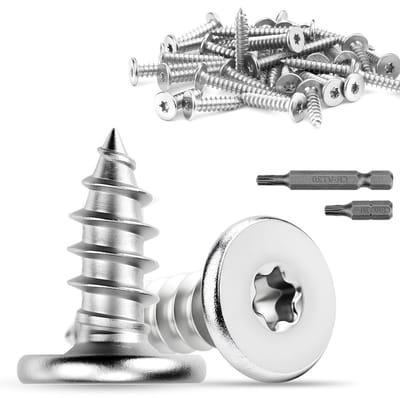 RVS Houtschroeven 16mm - 40 Stuks Zelftappende Torx Schroeven voor Meubels en Vloeren