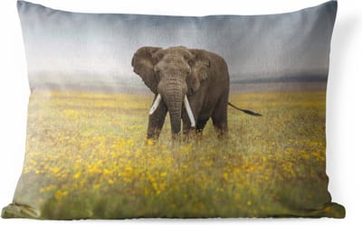 Buitenkussens - Tuin - Grazende olifant in een grasveld met bloemen - 50x30 cm