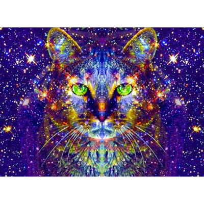 5D DIY diamant schilderij ster kat borduurwerk mozaïek kruissteek strass decor 20X30CM brown