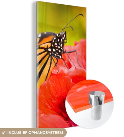 MuchoWow® Glasschilderij 20x40 cm - Schilderij acrylglas - Bloemen - Vlinders - Monarch - Foto op glas - Schilderijen