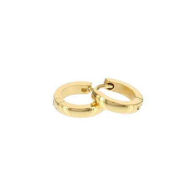 Kalli edelstalen Oorbel shiny rond 1897 Goud 10mm