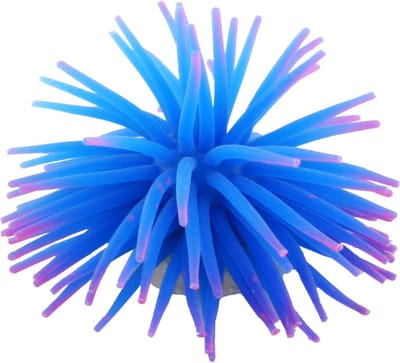 Nobleza Nep koraal voor aquarium - 6cm - Aquarium inrichting - Aquarium Decoratie - fluorescerend - Blauw