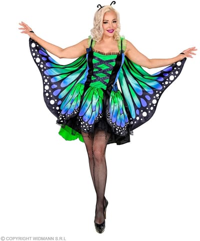 Vlinder kostuum blauw groen