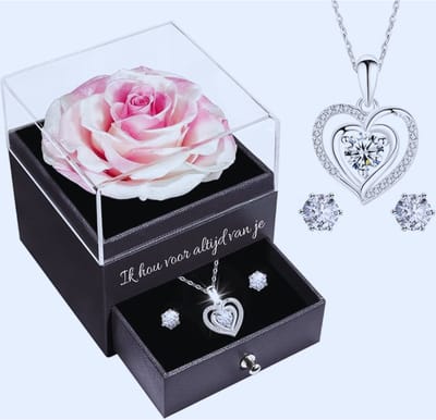 Ti Amo per Sempre: Eeuwige Roos Met Splitter Halsketting En Oorstekers - Perfect Cadeau Voor Verjaardag - Jubileum - Bruiloft of Valentijnsdag