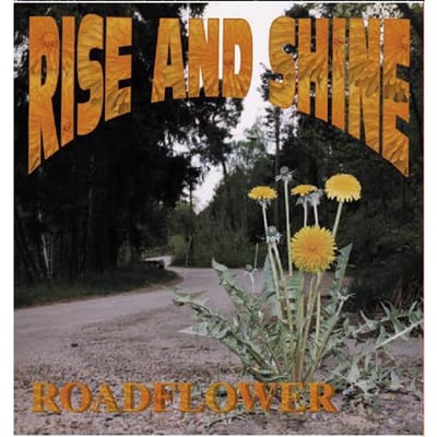CD RISE & SHINE - Roadflower BWRCD0372 Black Widow Rec 1999 Italië Rap & Hip-Hop/R&B Gebruikt