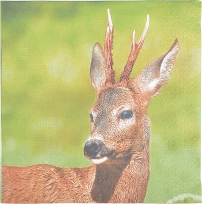 Papieren servetten ree 33x33cm