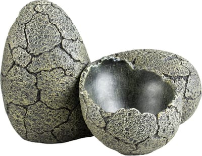 Terra Della - Natuurlijke Decoratie - Reptielen - Eieren L - 18x16x13cm - 1st