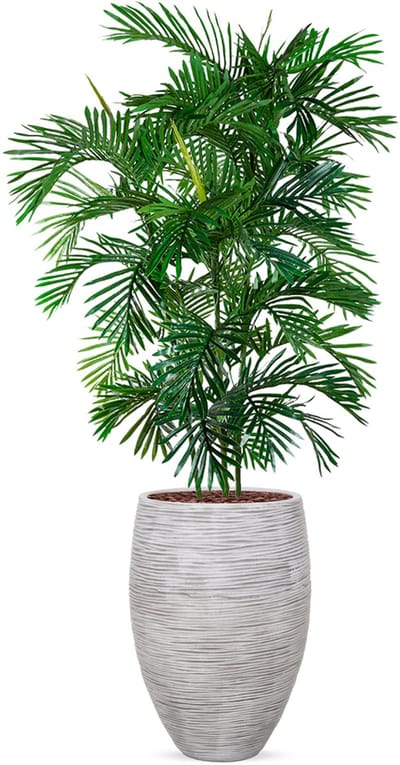 Kunstplant Arecapalm in Vaas elegant Deluxe rib ivoor H215 cm