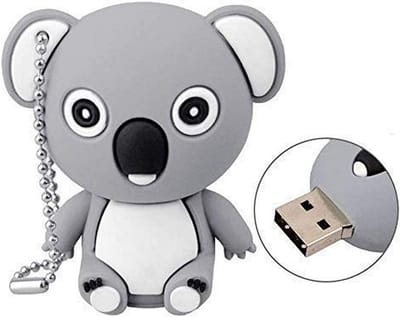 Ulticool USB stick Koala Beer 32 GB - Dieren - Grijs – Cute kawaii Tiener meisje & jongen - puber - voor Grote Kinderen - Grappige Gadgets