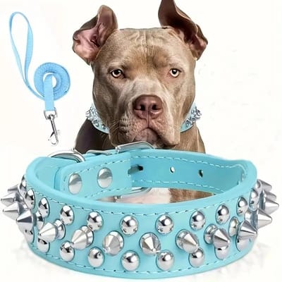 Set met spikes voor hondenhalsband en riem, verstelbare hondenhalsband met klinknagels voor buitenwandelingen (SKY BLUE,S)