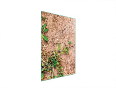 TMK ArtDeko - Snijplank - 35x52 cm - Rozen - Glas