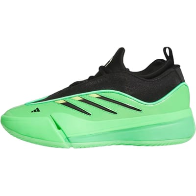 Basketbalschoenen adidas Dame 9
