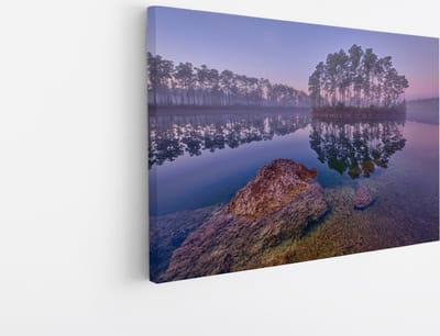 Saammp Canvas Schilderij -Bos - Zonlicht - Zomer - Landschap - Natuur - 30x20 - Foto op canvas - Wanddecoratie - Muurdecoratie Woonkamer - Slaapkamer decoratie - Canvas Print