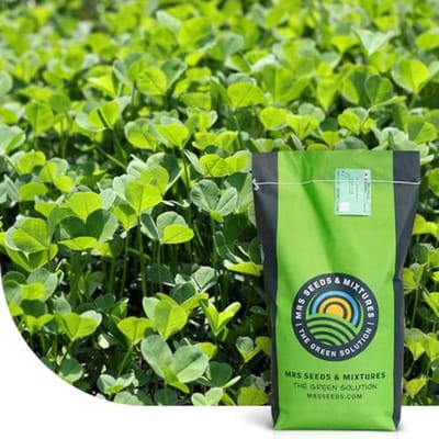 Micro klaver - Groen gazon - Gazon onderhoud - Stikstof fixatie - 250 g - Groen