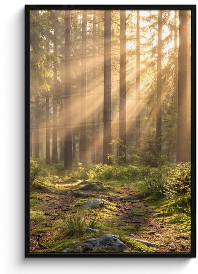 Poster in lijst - Fotolijst 80x120 cm - Posters - Bos - Zonlicht - Gras - Posterlijst zwart - Decoratie - Wanddecoratie woonkamer - Muurdecoratie slaapkamer