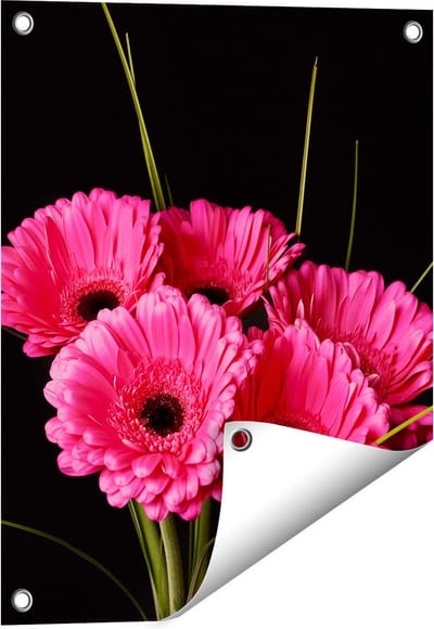 Gards Tuinposter Roze Gerbera Bloemen - 40x50 cm - Tuindoek - Tuindecoratie - Wanddecoratie buiten - Tuinschilderij