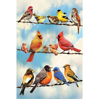 5D DIY Diamond Painting Alle soorten vogels Borduren Kruissteek Strass Mozaïek Home Decor 40X50CM