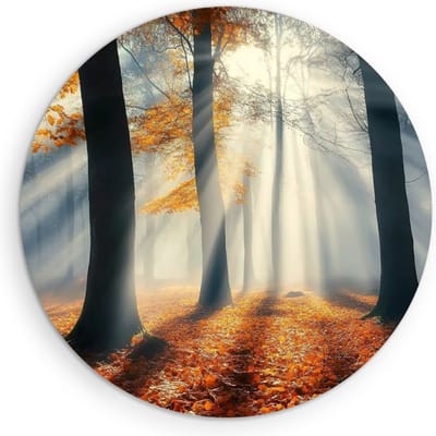 Saammp Muurcirkel Hout - Natuur - Bos met mist - landschappen - Ø 90 - Wandcirkel - Wanddecoratie Cirkel - Muurdecoratie Woonkamer - Slaapkamer decoratie - Rond Schilderij