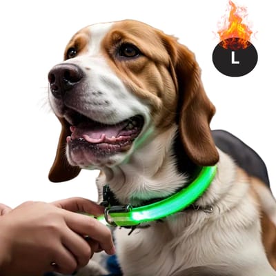 Bovista Lichtgevende Halsband - Verlichte Halsband - Lichtgevend - Hond - Kat - Lampje - Hondenhalsband Led - Oplaadbaar - Glow In The Dark - Groen - L