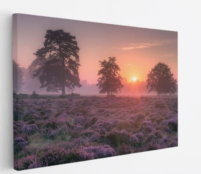 Saammp Canvas Schilderij - Lavendelveld met bomen en zonsondergang - Zonsondergang - Landschap - Natuur - 45x30 - Foto op canvas - Wanddecoratie - Muurdecoratie Woonkamer - Slaapkamer decoratie - Canvas Print