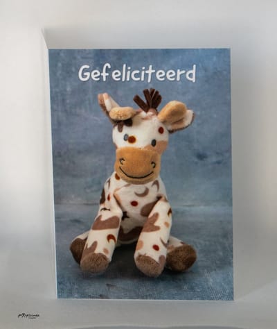 Kleintje fotografie wenskaart giraf