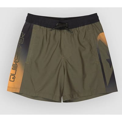 Quiksilver Everyday Holmes Volley 16´´ Zwembroek Groen 16 Years Jongen