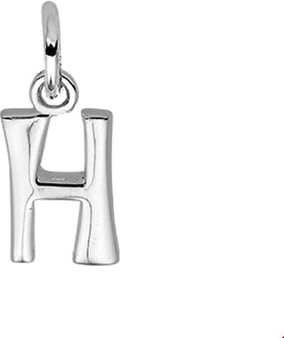 Zilveren Hanger letter H 1002769