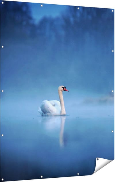 Gards Tuinposter Zwaan op het Water tussen de Mist - 120x160 cm - Tuindoek - Tuindecoratie - Wanddecoratie buiten - Tuinschilderij