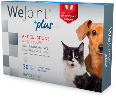 WePharm WeJoint PLUS Kleine Hond En Kat - 30 Tabletten - Ondersteuning Voor De Gewrichten Voor Kleine Honden & Katten - Natuurlijk Supplement