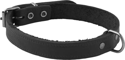 Adori Halsband Vetleder Met Print Zwart - Hondenhalsband - 35x1.4 cm