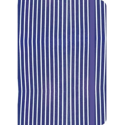 Carmyne's Journal A5 Tomoe River Notitieboek - Blue Stripes