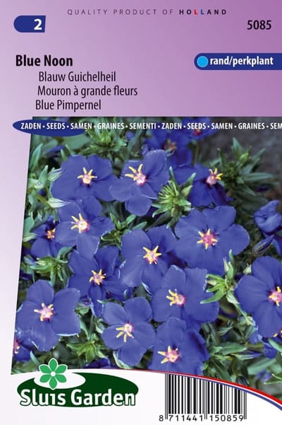 Sluis Garden Blauw Guichelheil Blue Noon