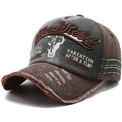 Casquette de Baseball Vintage Broderie Lettre Crâne de Tête de Taureau Casquette Hip-Hop Western Streetwear Réglable Chapeaux Protection Solaire Pour Homme Femme gray