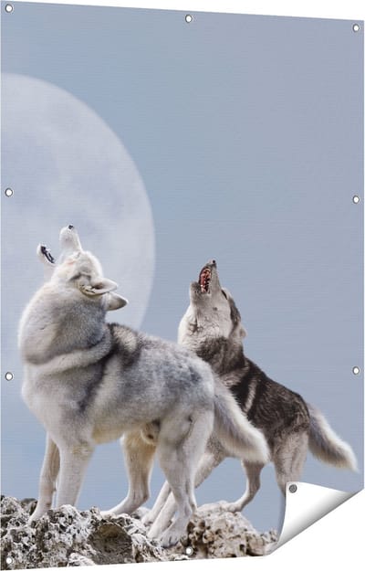 Gards Tuinposter Twee Wolven Die Huilen tijdens Volle Maan - 90x120 cm - Tuindoek - Tuindecoratie - Wanddecoratie buiten - Tuinschilderij