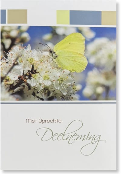 Cards & Crafts Condoleancekaart - Met Oprechte Deelneming Wenskaart - 12 x 17 cm - gevouwen kaart Inclusief envelop