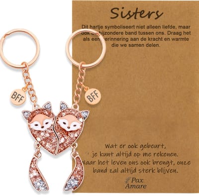 BFF Sleutelhanger voor 2 'Sisters' - Magnetische Vosjes - Sleutelhangers op Cadeau Kaartje - Rosé Goud - Vriendschap Symbool - Pax Amare