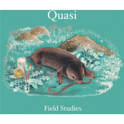 Field Studies - Quasi