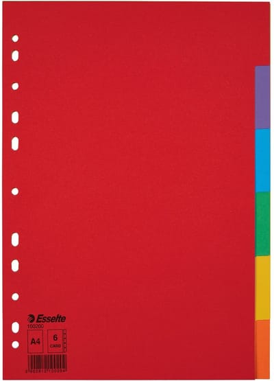20 x Tabbladen Esselte A4 11R karton 6-delig gekleurd (zonder voorblad)