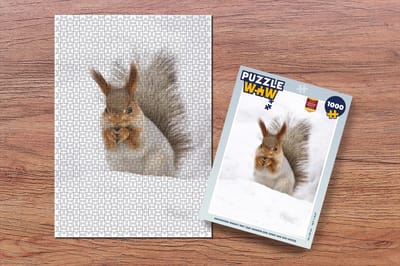Puzzel Eekhoorn - Dier - Sneeuw - Legpuzzel - Puzzel 1000 stukjes volwassenen - Kerst - Cadeau - Kerstcadeau voor mannen, vrouwen en kinderen