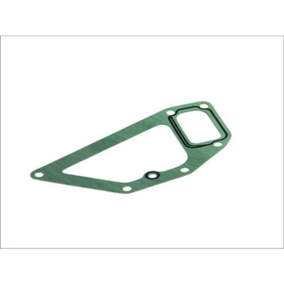 Pakking, waterpomp DT Spare Parts 5.41048