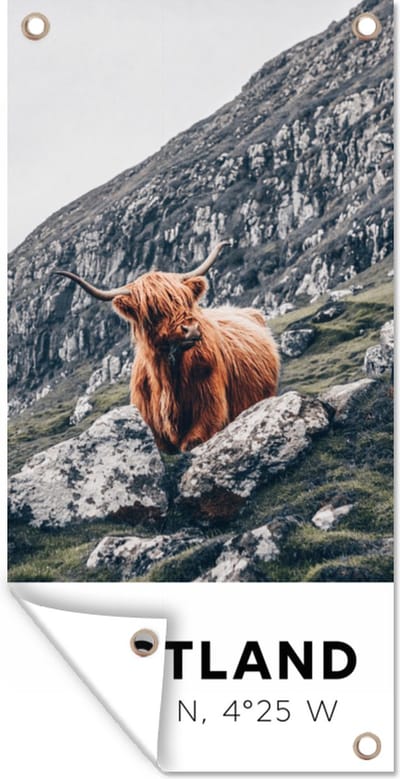 Schuttingposter Schotland - Schotse Hooglander - Bergen - 100x200 cm - Tuindoek