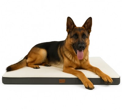 Dastium Pets - XXL Grijze Orthopedische Hondenmand - Wasbaar Hondenbed met uitneembare kussens - Hondenkussen Van Oxfordstof - Met Anti-slip Bodem - 112CM X 81CM