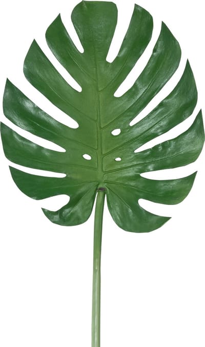 Easyplants | Kunstblad Monstera 88cm | Zijde | Nepbloemen | groen | Onderhoudsvrij | Kant-en-klaar